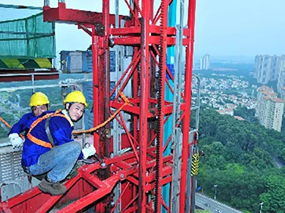 Đội Ngũ Chuyên Nghiệp