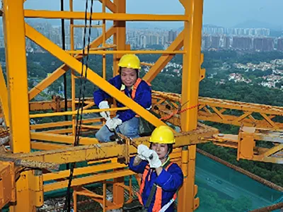 Đội Ngũ Chuyên Nghiệp